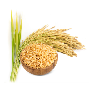 Wheat